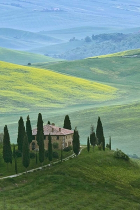 Picture of ITALY, TUSCANY BEAUTIFUL GREEN COUNTRYSIDE