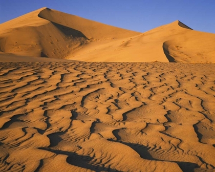 Picture of SAND DUNE AT EUREKA DUNES IN DEATH VALLEY, CA