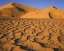 Picture of SAND DUNE AT EUREKA DUNES IN DEATH VALLEY, CA