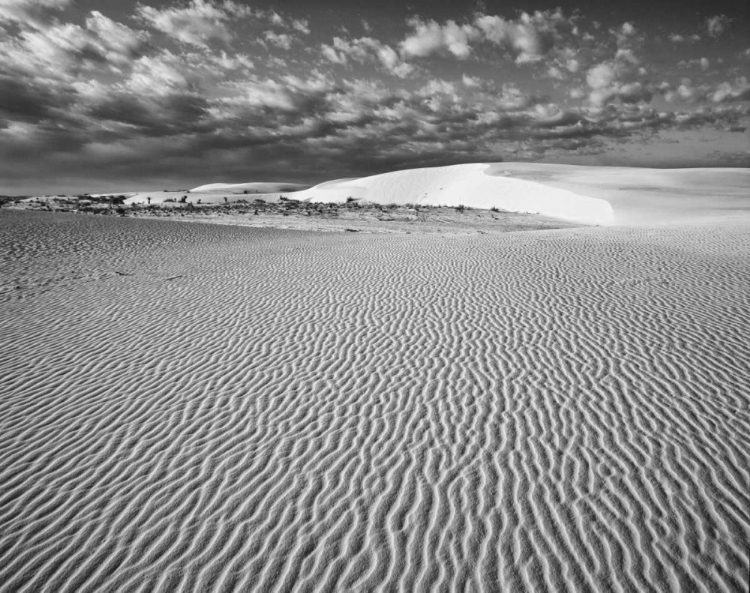 Picture of NEW MEXICO, WHITE SANDS NM DESERT LANDSCAPE