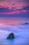 Picture of NEW JERSEY, CAPE MAY SCENIC ON CAPE MAY BEACH