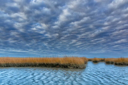 Picture of VIRGINIA CLOUDY SCENIC ON CHINCOTEAGUE ISLAND