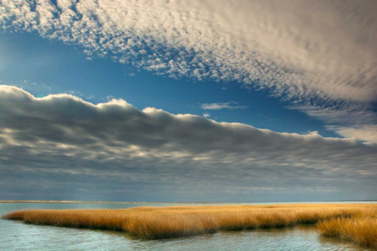 Picture of VIRGINIA CLOUDY SCENIC ON CHINCOTEAGUE ISLAND