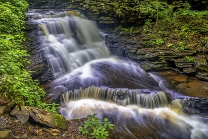 Picture of PENNSYLVANIA, RICKETTS GLEN SP DELAWARE FALLS