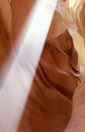 Picture of ARIZONA, ANTELOPE CANYON SUN IN A SLOT CANYON