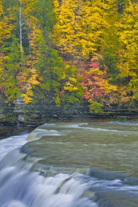 Picture of NY, LETCHWORTH SP WATERFALL AND FOREST SCENIC