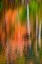 Picture of PA, DELAWARE WATERGAP AUTUMN REFLECT ON WATER