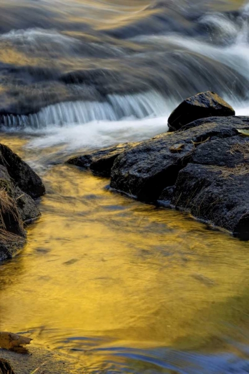 Picture of NY, ADIRONDACK MTS STREAM AT BUTTERMILK FALLS