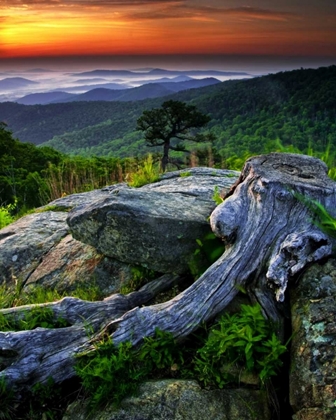 Picture of VA, SHENANDOAH NP OVERLOOK FROM SKYLINE DRIVE