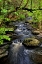 Picture of PA, DINGMANS FERRY, CHILDS PARK DINGMANS CREEK