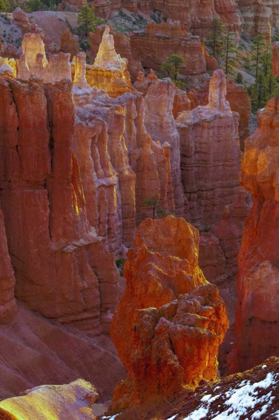 Picture of USA, UTAH, BRYCE CANYON NP CLOSE-UP OF HOODOOS