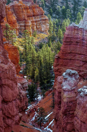 Picture of USA, UTAH, BRYCE CANYON NP CLOSE-UP OF HOODOOS