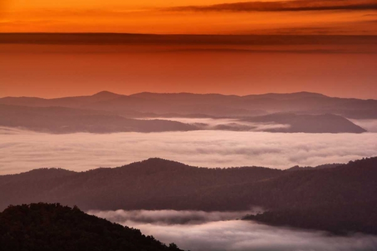 Picture of NORTH CAROLINA, BREVARD LANDSCAPE IN PISGAH NF