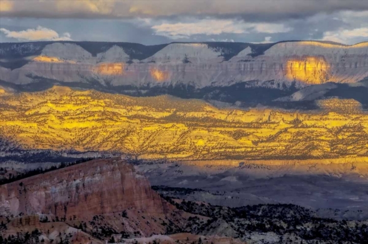 Picture of UTAH, BRYCE CANYON SUNRISE CONTRASTS ON CANYON