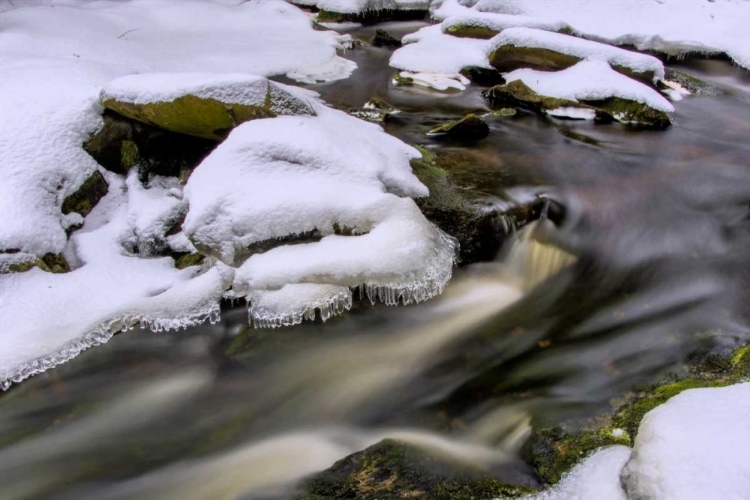 Picture of WEST VIRGINIA, BLACKWATER FALLS FLOWING STREAM