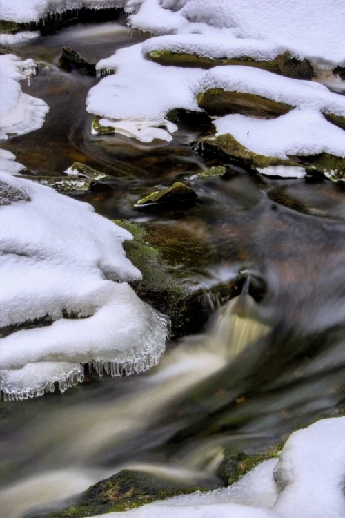 Picture of WEST VIRGINIA, BLACKWATER FALLS FLOWING STREAM