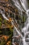 Picture of NORTH CAROLINA, BREVARD WATERFALL IN DUPONT SF