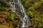 Picture of NORTH CAROLINA, BREVARD WATERFALL IN DUPONT SF