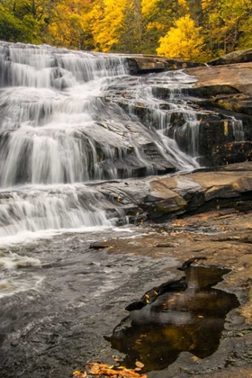 Picture of NORTH CAROLINA, BREVARD WATERFALL IN DUPONT SF