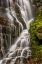 Picture of NORTH CAROLINA, BREVARD WATERFALL IN DUPONT SF