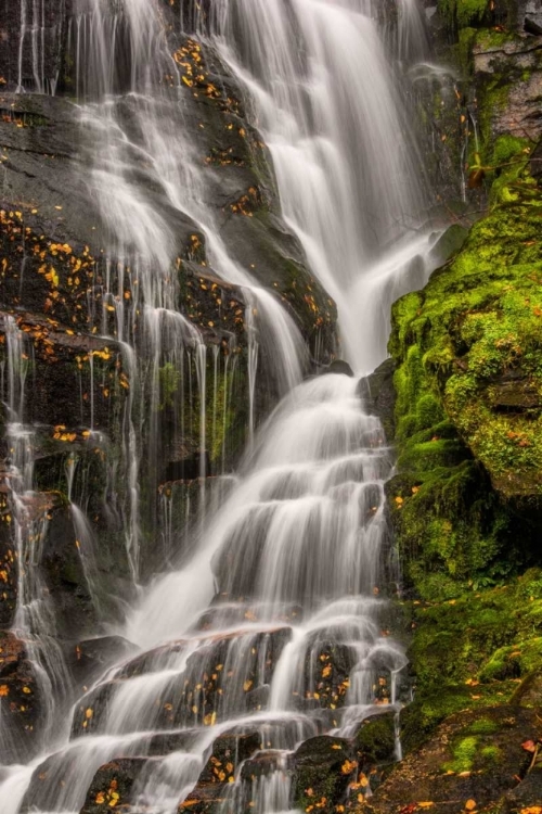 Picture of NORTH CAROLINA, BREVARD WATERFALL IN DUPONT SF