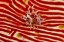 Picture of INDONESIA, PAPUA ANEMONE ON SEA CUCUMBER