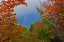 Picture of CANADA, ONTARIO RAINBOW AND MAPLES IN AUTUMN