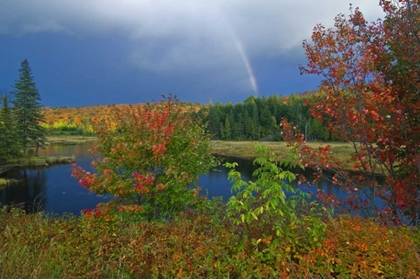Picture of CANADA, ONTARIO RAINBOW AND MAPLES IN AUTUMN