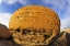 Picture of CANADA, RED ROCK COULEE SANDSTONE CONCRETION