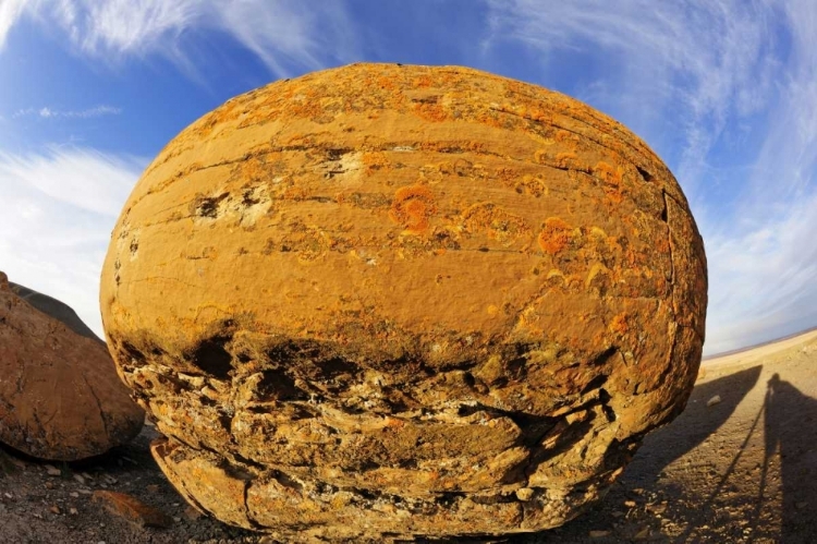 Picture of CANADA, RED ROCK COULEE SANDSTONE CONCRETION