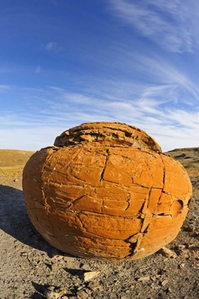 Picture of CANADA, RED ROCK COULEE SANDSTONE CONCRETION
