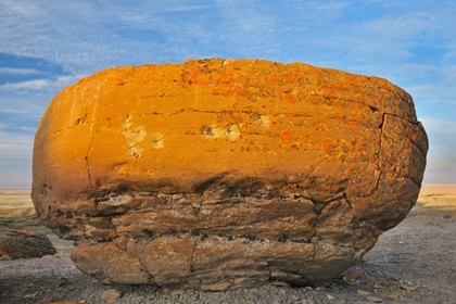 Picture of CANADA, RED ROCK COULEE SANDSTONE CONCRETION