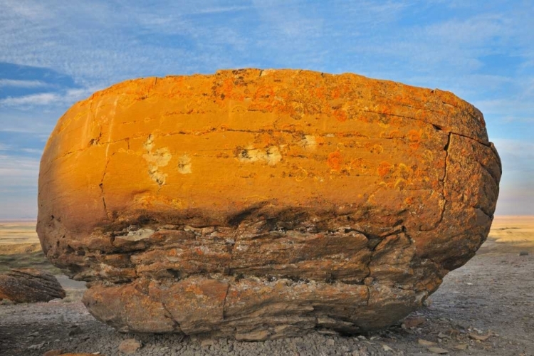 Picture of CANADA, RED ROCK COULEE SANDSTONE CONCRETION