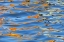 Picture of CANADA DETAIL OF YELLOW BOAT ON LAKE ROSSEAU