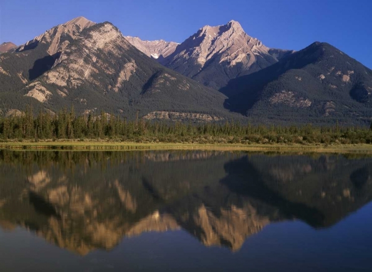 Picture of CANADA, ALBERTA, CANADIAN ROCKIES AT JASPER NP