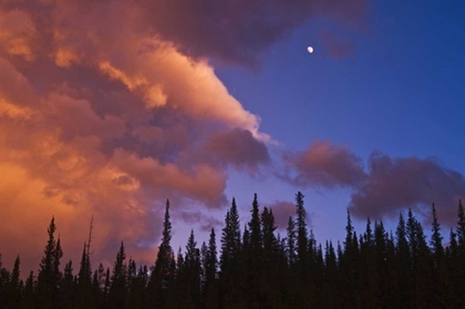 Picture of CANADA, ALBERTA, JASPER NP CLOUDS OVER FOREST