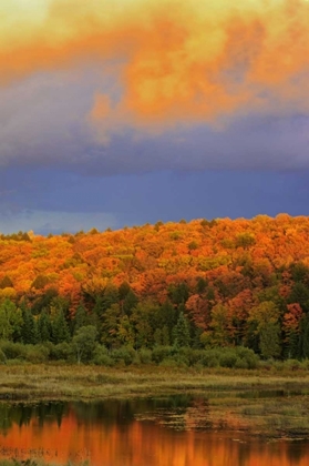 Picture of CANADA, ONTARIO, OXTONGUE LAKE SKY AND FOREST