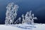 Picture of CANADA, WHITESHELL PP HOARFROST-COVERED GRASS