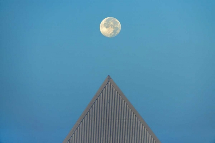 Picture of CANADA, ONTARIO FULL MOON AT BROCK UNIVERSITY