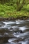 Picture of OREGON, COLUMBIA RIVER GORGE TANNER CREEK