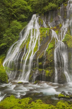 Picture of WASHINGTON SPRING PANTHER CREEK WATERFALL