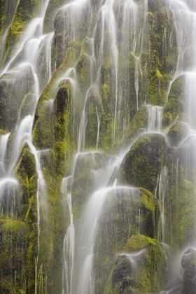 Picture of OREGON, WILLAMETTE NF VIEW OF PROXY FALLS