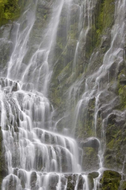 Picture of OREGON, WILLAMETTE NF VIEW OF PROXY FALLS