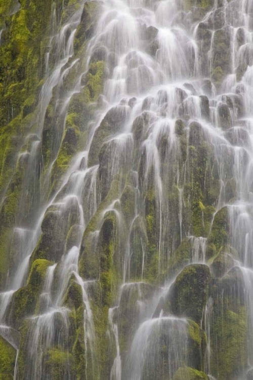 Picture of OREGON, WILLAMETTE NF VIEW OF PROXY FALLS