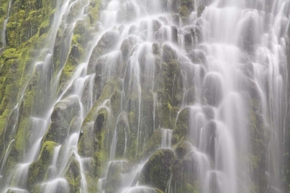 Picture of OREGON, WILLAMETTE NF VIEW OF PROXY FALLS