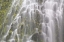 Picture of OREGON, WILLAMETTE NF VIEW OF PROXY FALLS