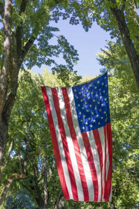 Picture of COLORADO, CRAWFORD FLAG BETWEEN TWO TREES