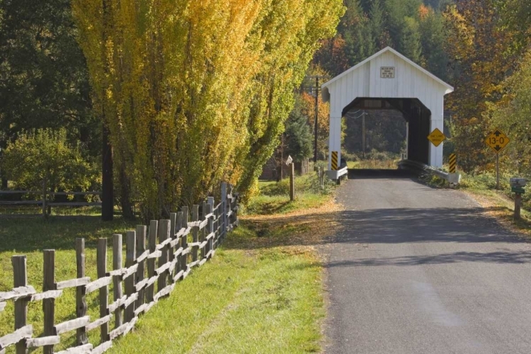 Picture of OREGON, LAKE CREEK NELSON MOUNTAIN BRIDGE