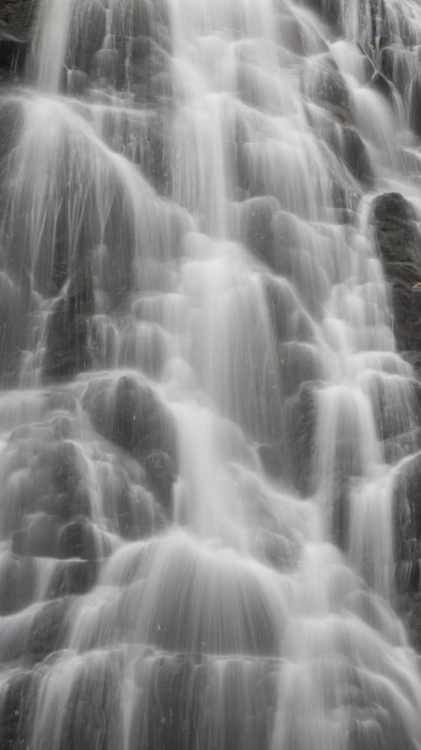 Picture of NORTH CAROLINA, BLUE RIDGE CRABTREE FALLS