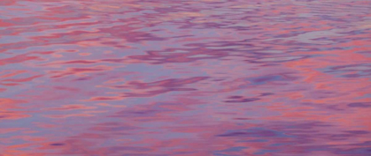 Picture of WASHINGTON, HOOD CANAL SUNSET REFLECTIONS